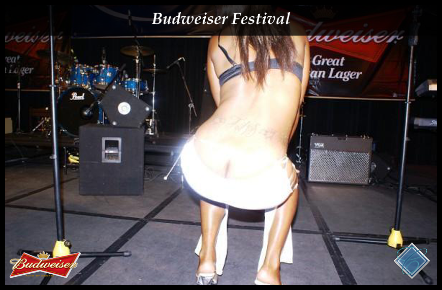 Budweiser Festival
