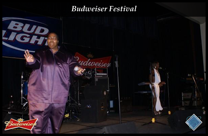 Budweiser Festival