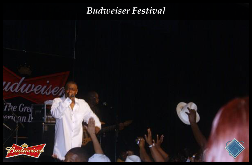 Budweiser Festival