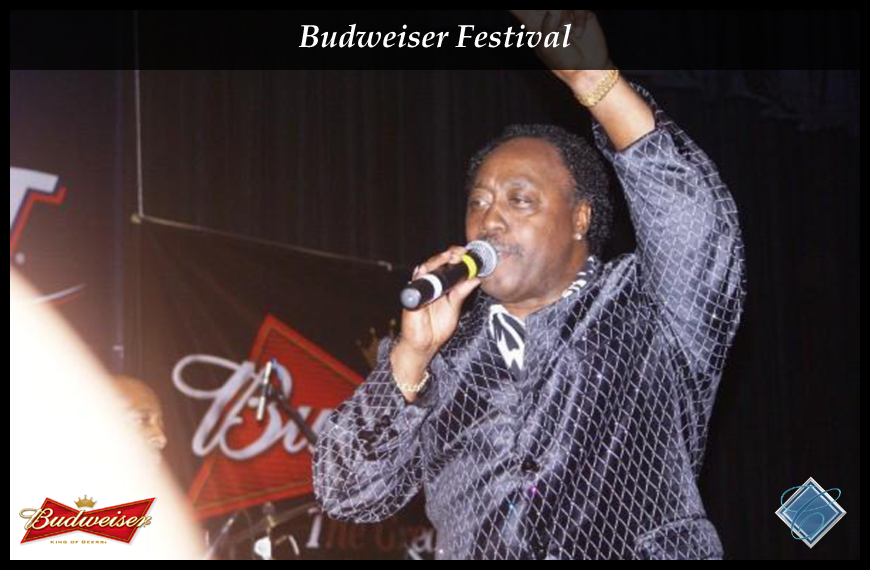 Budweiser Festival