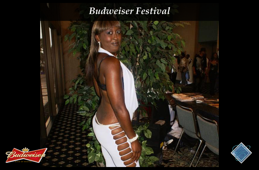 Budweiser Festival